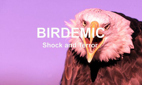 Birdemic Van